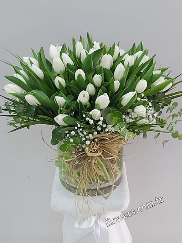 50 White Tulips Vase Arrangement