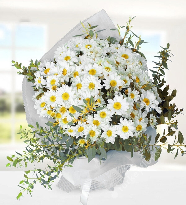 Bouquet of White Daisies