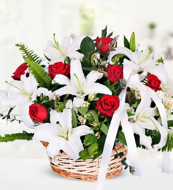 Casablanca Lilium Rose in Basket