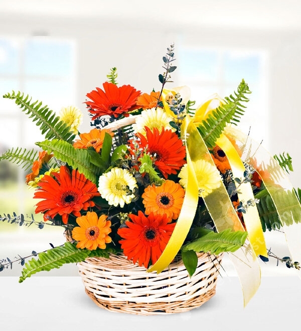 Mixed Gerberas in Basket