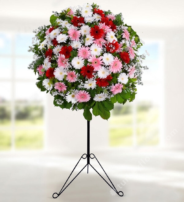 Colorful Gerberas in Basket Stand