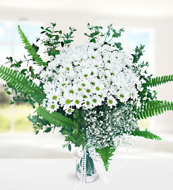 White Daisies in Vase