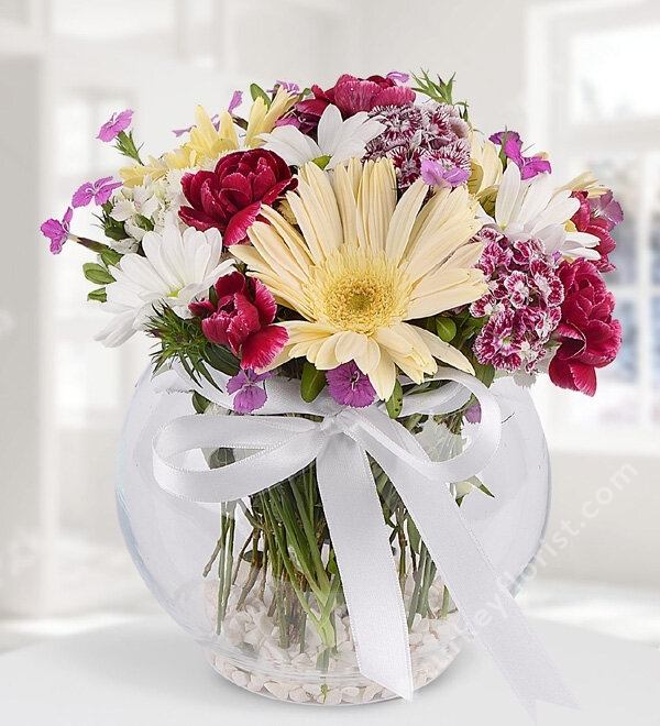 Gerbera and Mixed Flowers