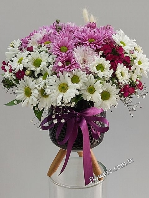 Colorful Spring Flowers In Vase