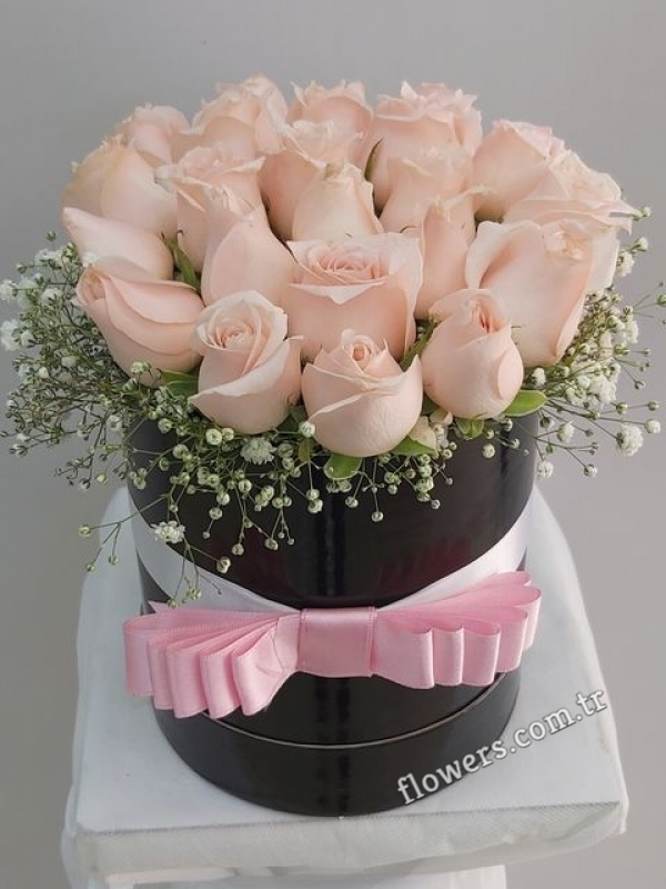 21 Light Pink Roses In Box