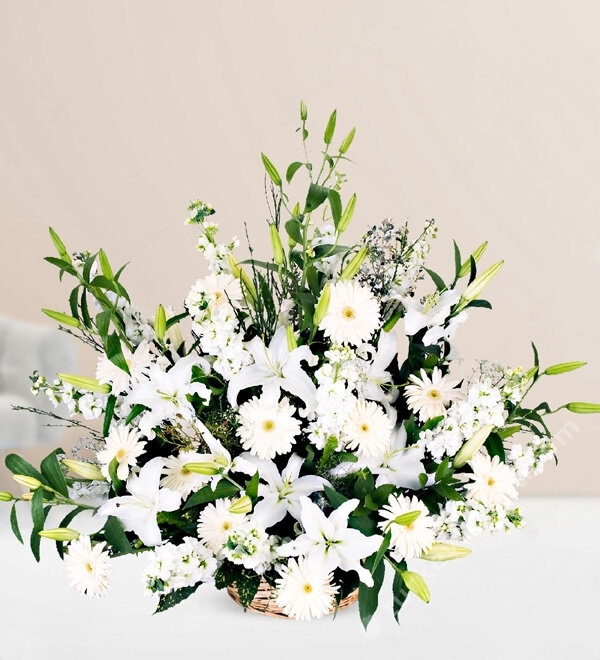 Lilium Gillyflower Gerberas in Basket