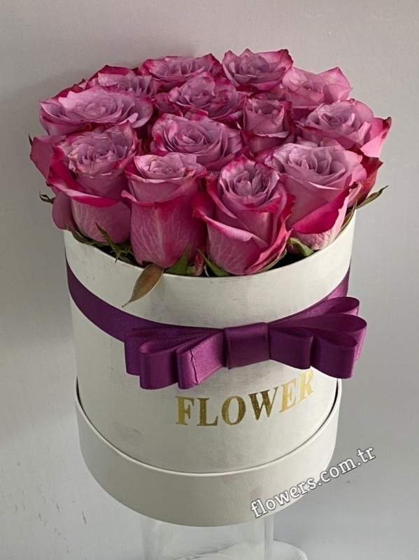 Purple Roses In Box