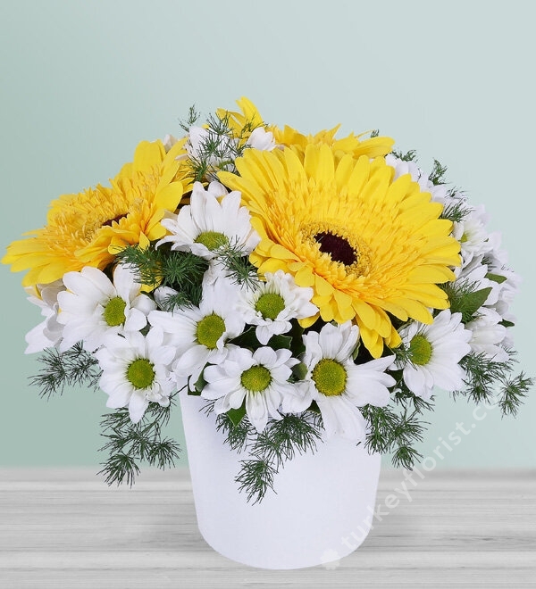 New Business Themed Yellow Gerberas And Daisies