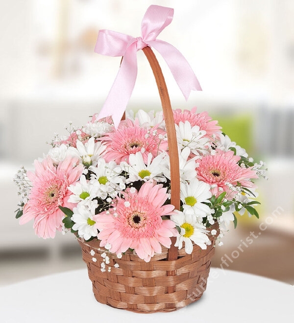 Pink Gerbera White Chrysanthemums