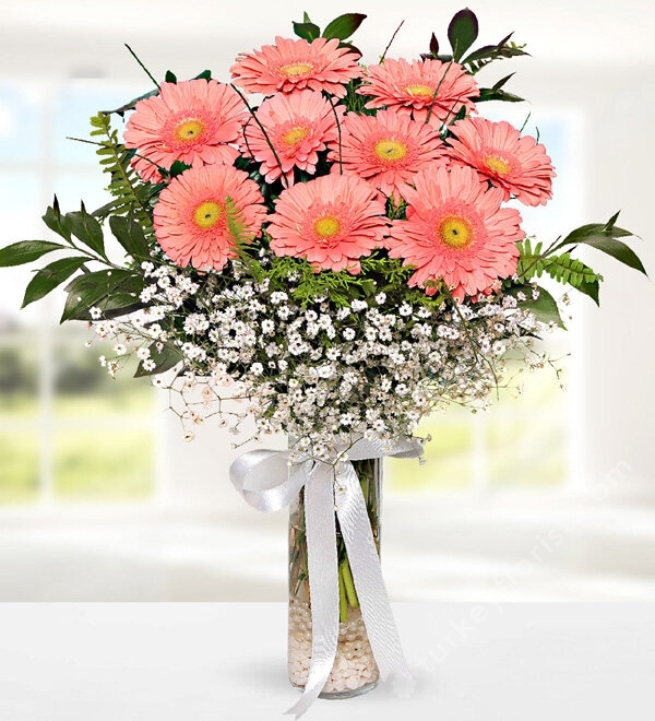 Pink Gerbera in Vase