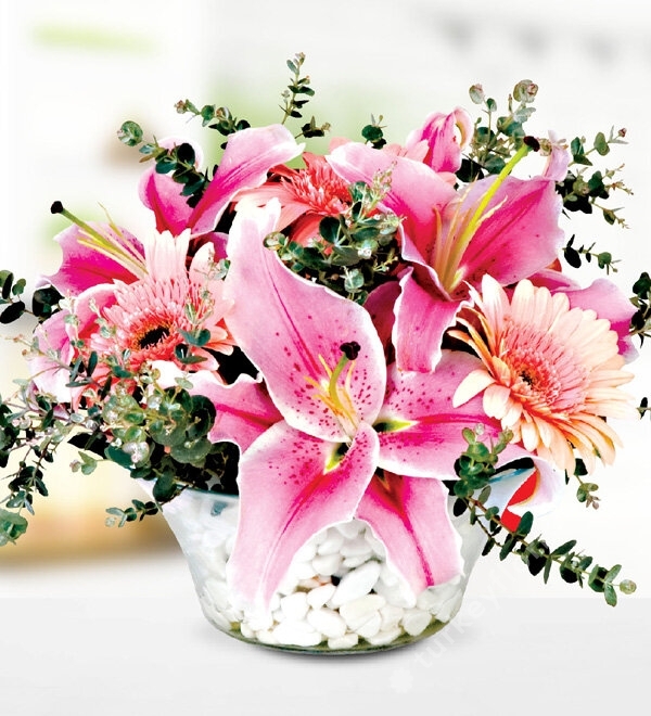 Pink Lilium Gerbera in Glass