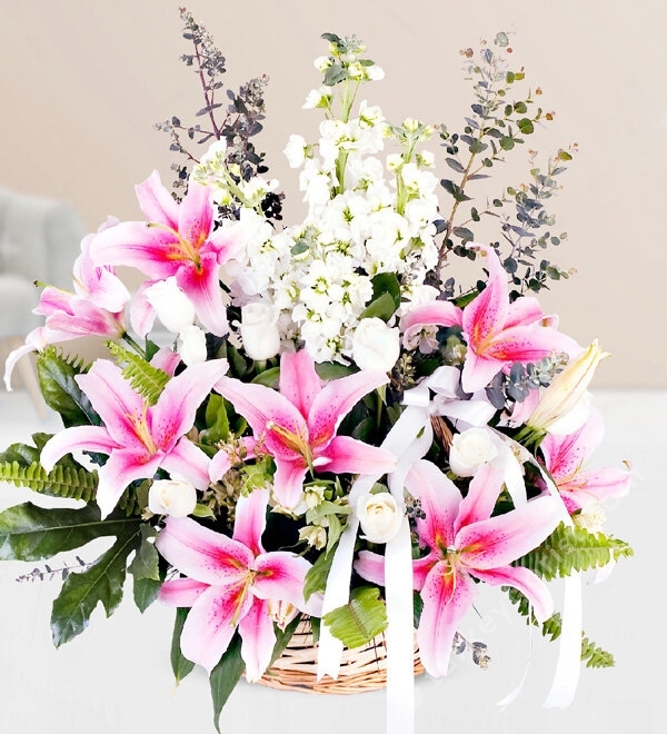 Pink Lilium Gillyflower White Rose