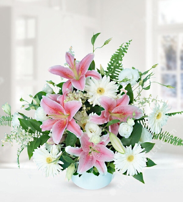 Pink Lilium White Gerbera