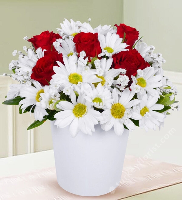 5 Red Roses and Daisies in Vase