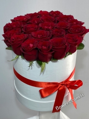 Elegant 21 Red Rose Box