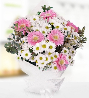 Daisy and Gerbera Bouquet