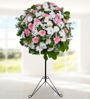 Gerbera ve Daisy in Basket Stand