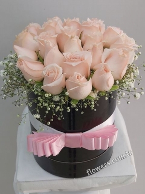 21 Light Pink Roses In Box