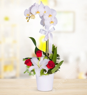 Orchid, Lilium and Rose Arrangement