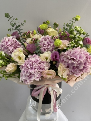 Pretty Hydrangeas In Box