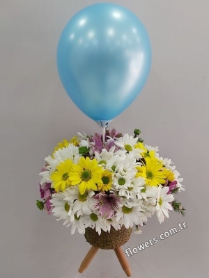 Newborn Baby Boy Arrangement