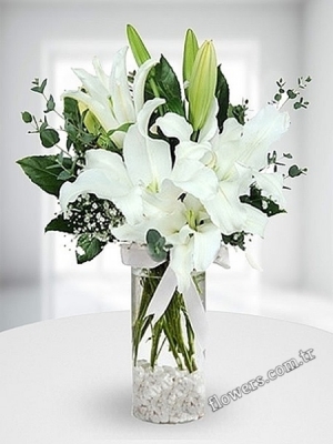 White Lilies In Vase