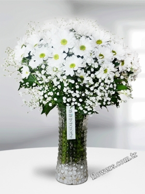 Stunning Daisies In Vase