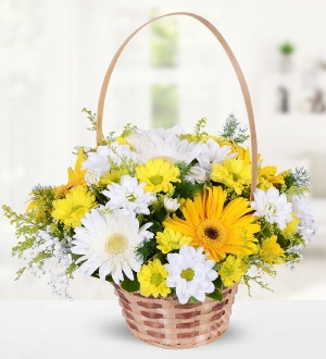 White Gerbera Yellow Chrysanthemums