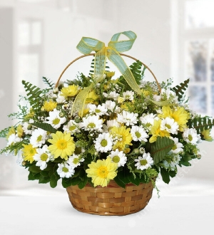 Yellow and White Chrysanthemums