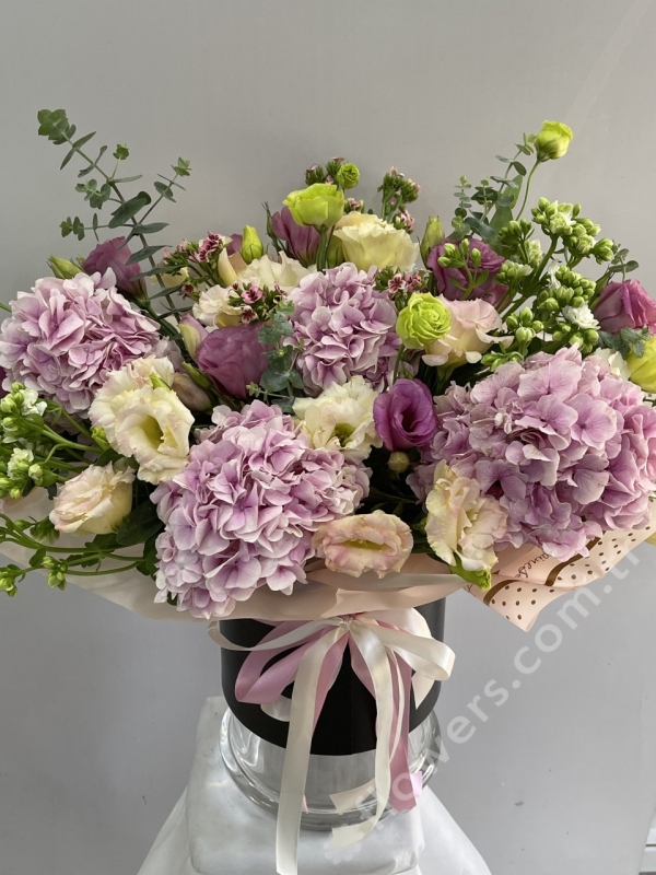 Pretty Hydrangeas In Box