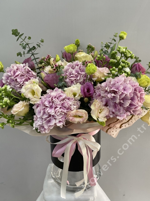 Pretty Hydrangeas In Box