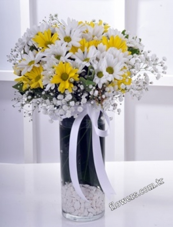 Yellow & White Daisy Arrangement