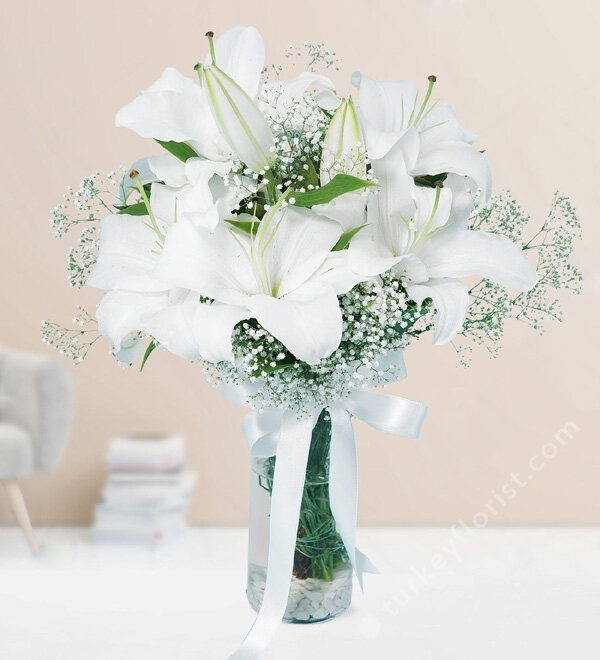 White Lilium