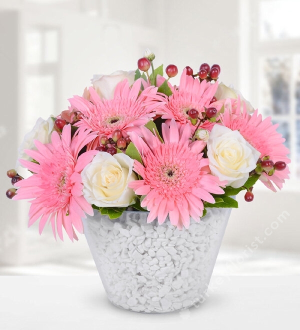 White Rose and Gerbera in a Ceramic