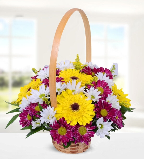 Yellow Gerbera and Colorful Chrysanthemum